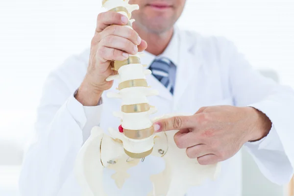 Médico mostrando coluna anatômica — Fotografia de Stock