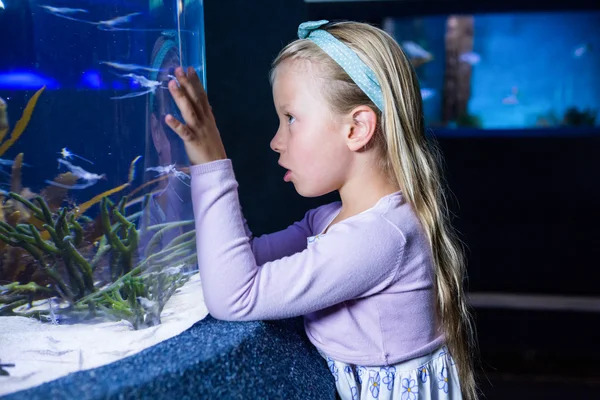 Jeune femme regardant les poissons dans le réservoir — Photo