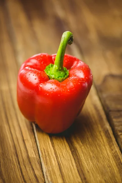 Červená paprika s kapkami vody — Stock fotografie