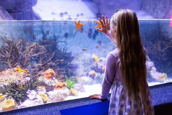 Młoda kobieta, patrząc na starfish zbiornik — Zdjęcie stockowe