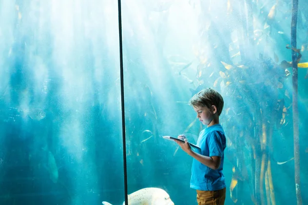 Jeune homme dessinant un poisson dans un aquarium — Photo