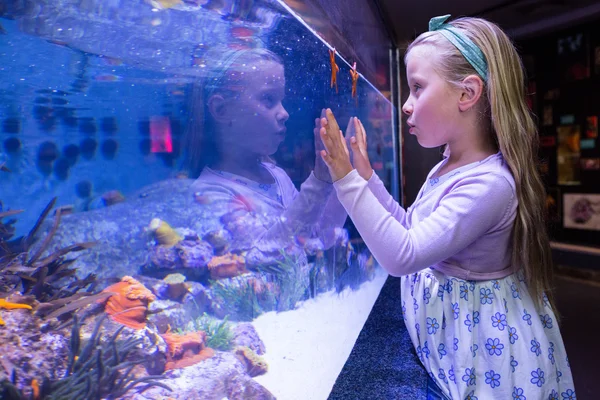 Young woman touching a starfish-tank — Stock Photo, Image