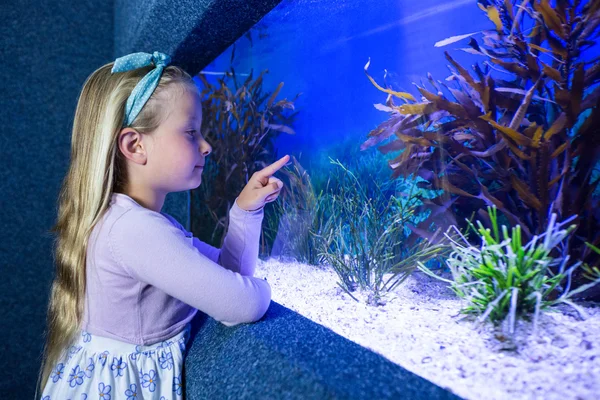 Young woman pointing fish in tank — Stock Photo, Image