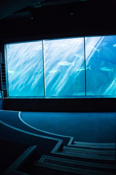 Темнейшая комната с аквариумом — стоковое фото