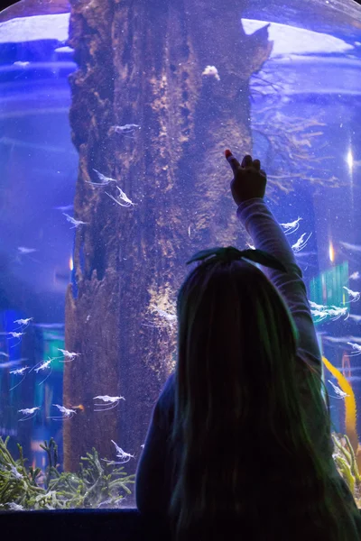 Young women pointing fish — Stock Photo, Image