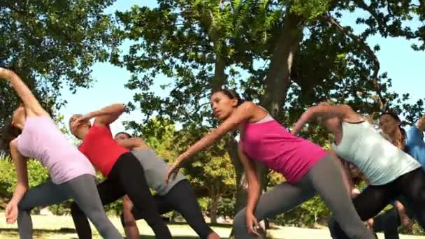 Fitness grupp gör yoga i park — Stockvideo