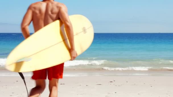 Gutaussehender Surfer läuft ans Meer — Stockvideo