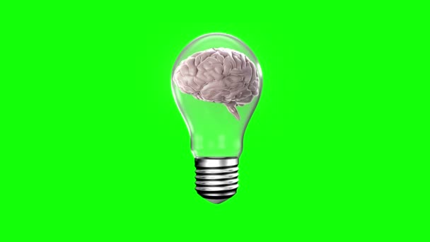 Light bulb with revolving brain — Stock Video