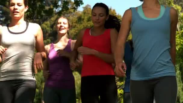 Fitnessgruppe joggt im Park — Stockvideo