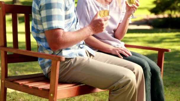 Casal relaxante no parque com copo de vinho — Vídeo de Stock