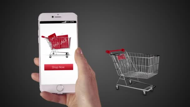 Kvinnan shopping online på sin telefon — Stockvideo