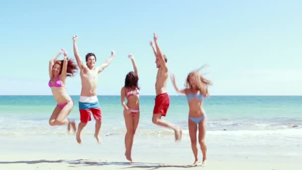 Friends having fun at the beach — Stock Video