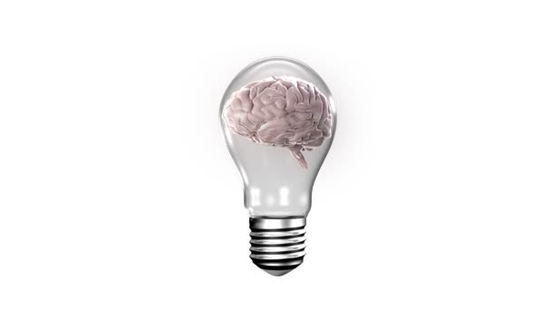 Glödlampa med roterande hjärnan — Stockvideo