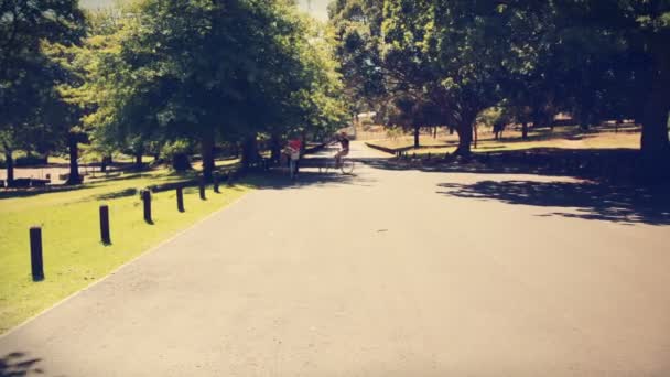 Lyckliga paret på en cykeltur — Stockvideo