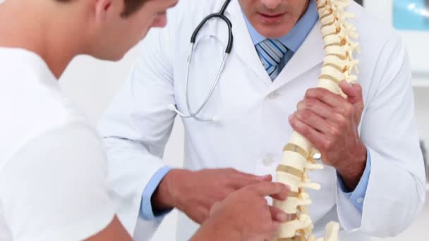 Doctor explaining a spine model to patient — Stock Video