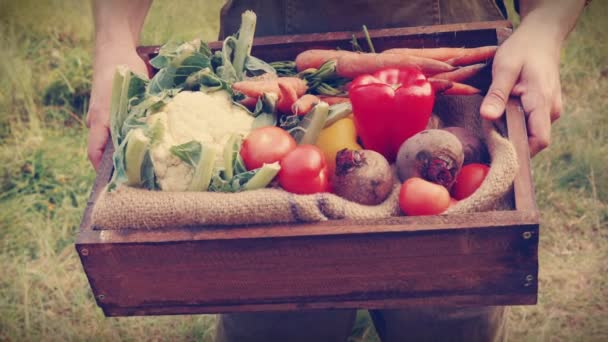 Glücklicher Bauer trägt Schachtel mit Gemüse — Stockvideo