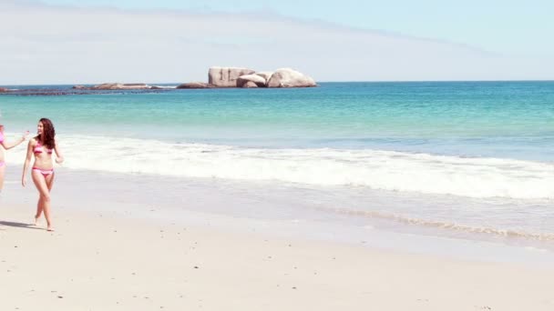 Vrienden samen te wandelen op het strand — Stockvideo