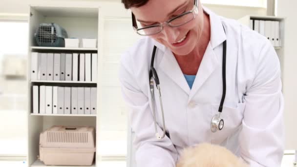 Sorrindo fêmea veterinária bandagem fantoches perna — Vídeo de Stock