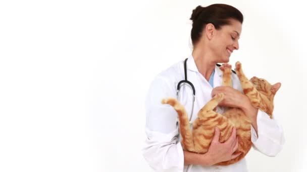 Улыбающаяся ветеринар с милой кошкой на руках — стоковое видео