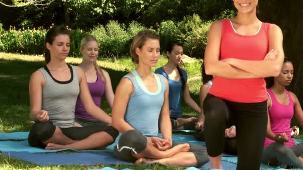 Fitness group doing yoga in park — Stock Video
