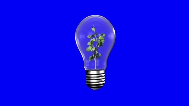 Light bulb with growing plant — Stock Video