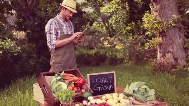 Farmer selling organic veg at market — Stock Video