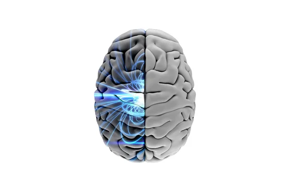 Imagen compuesta del cerebro — Foto de Stock