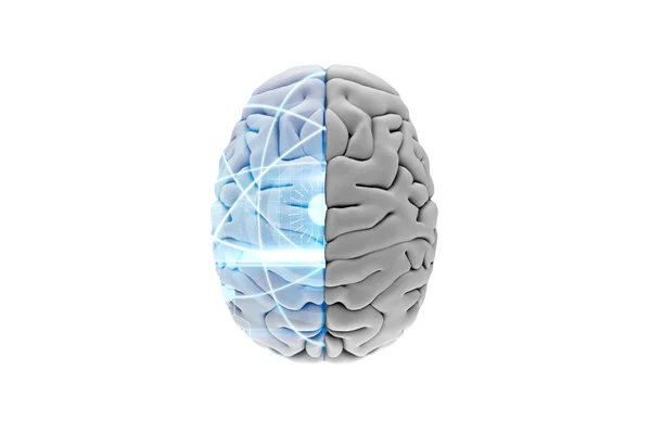 脳の合成画像 — ストック写真
