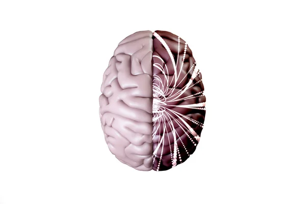 Imagen compuesta del cerebro — Foto de Stock