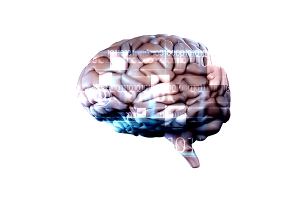 Imagen compuesta del cerebro —  Fotos de Stock