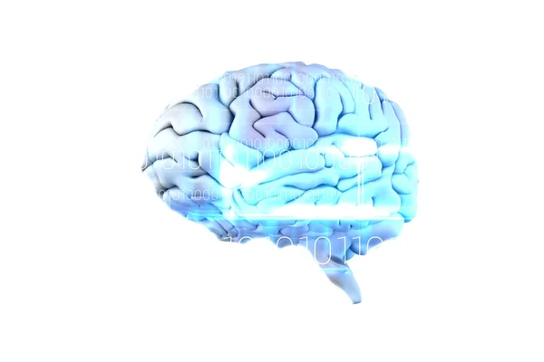 Composite image of brain — Stock Photo, Image