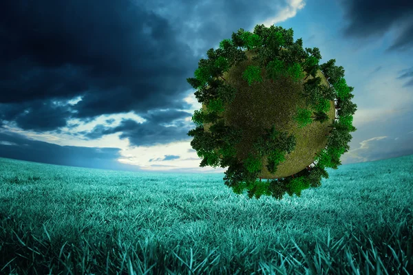 Imagem composta de esfera coberta de floresta — Fotografia de Stock