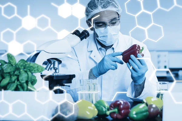 Ernährungswissenschaftler untersucht eine Paprika — Stockfoto