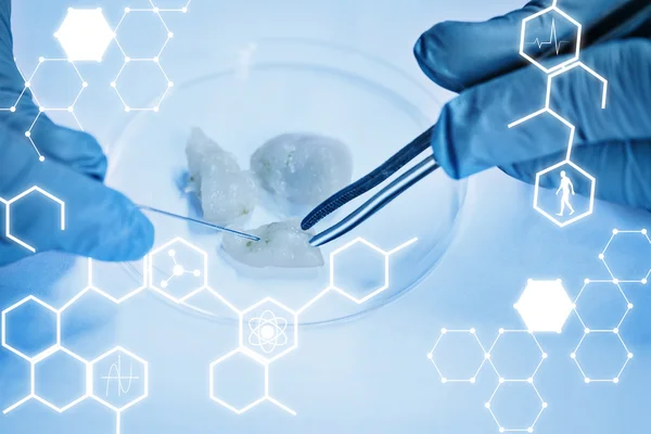 Food scientist dissecting raw chicken — Stock Photo, Image