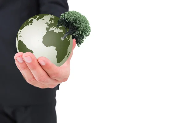 Businessman presenting plant — Stock Photo, Image