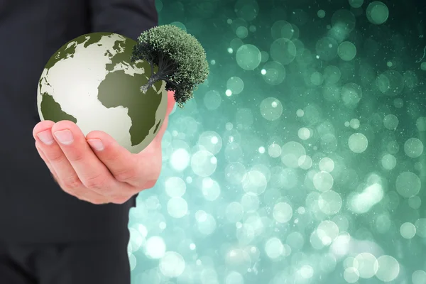 Businessman presenting plant — Stock Photo, Image