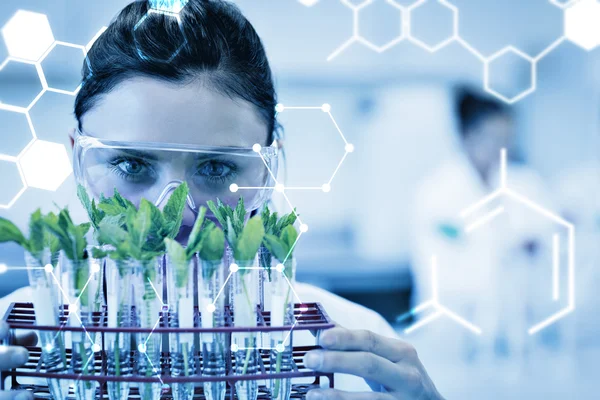 Vrouwelijke wetenschapper met jonge planten bij lab — Stockfoto