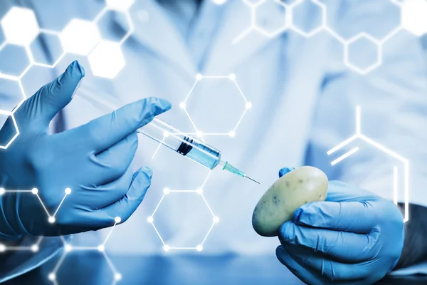 Food scientist injecting a potato — Stock Photo, Image