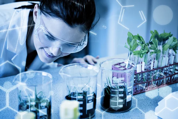 Female researcher looking at young plants at lab — Stock Photo, Image