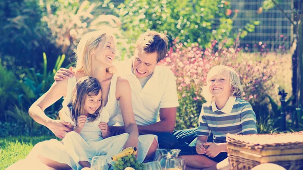 Family playing together in a picnic — 图库照片