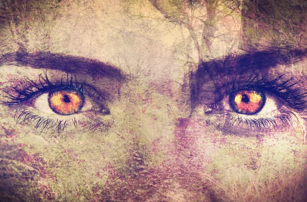 Forest overlay on face — Stok fotoğraf