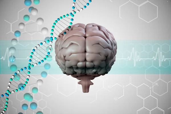 Beynin birçok parçalardan oluşan imge — Stok fotoğraf