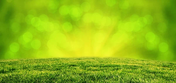 Green grass background — Stock Photo, Image