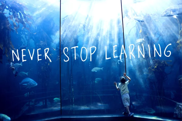 Composite image of never stop learning — Stock Photo, Image