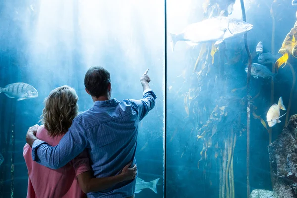 Paar kijken naar vissen in de tank — Stockfoto