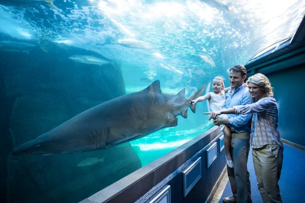 Famille pointant un requin dans un réservoir — Photo