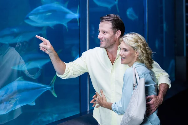 Couple pointing fish tank at aquarium — Stock Photo, Image
