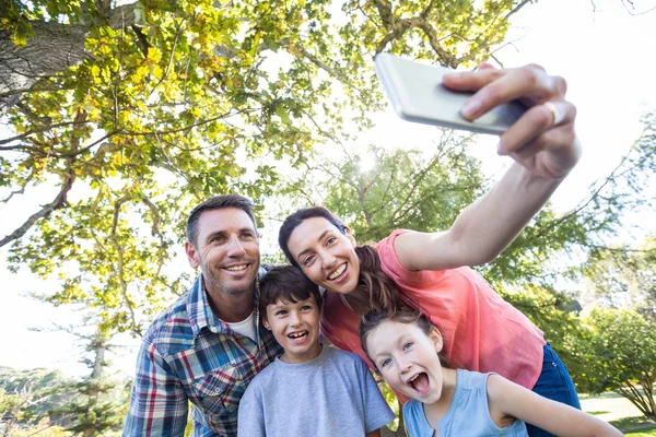 Family in park taking selfie — Stockfoto