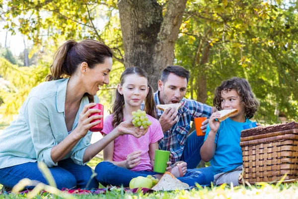 Famiglia felice su un picnic nel parco — Foto Stock