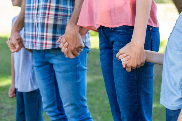 Родина тримає руки в парку — стокове фото